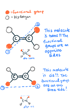 cyclopentadiene:  atomicallena:  scienceforebreakfast:  One example