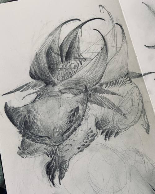 nataliehall:Tried to polish up this venusaur from awhile ago