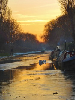 vwcampervan-aldridge:  Sunset, Swans and canal barges, Burton