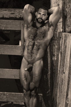 I’d do him right there in the barn.