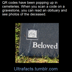 bedlamsbard:  riteofswing:  ultrafacts:    (Fact Source) for