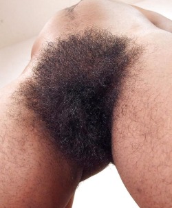natural-fetish:  Another all time great hairy pussy. Hairy Harley