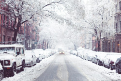 atraversso:  Winter in New York  by Carin Olsson  Please don’t