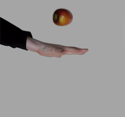 Catching an apple