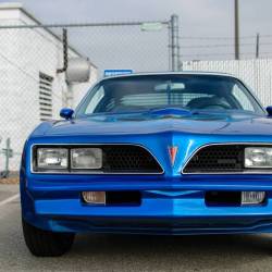 eanousa:  #tbt Dat Bluebird tho.  Pontiac Firebird.