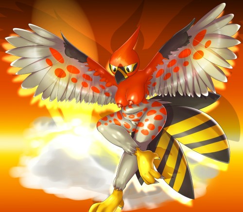 lucariofan97:  Talonflame by request 