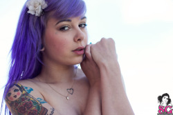 I Dream Of SuicideGirls