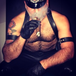 cigar-smoking gay pig