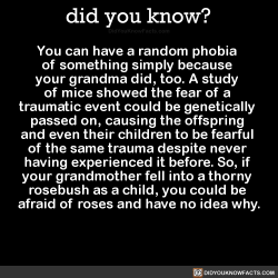 did-you-kno:You can have a random phobia  of something simply