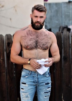 hot4hairy2:  ▪️HOT4HAIRY2.0▪️hot4hairy2.tumblr.com▪️