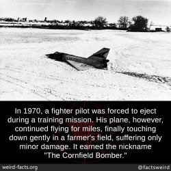 mindblowingfactz:  In 1970, a fighter pilot was forced to eject