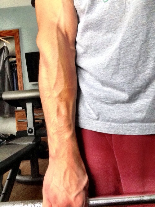 lifeofalifter:  Was feeling vascular while lifting today 