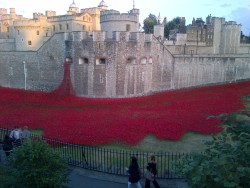 sixpenceee:  At the Tower of London red ceramic poppies are