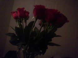 Seriously, the roses Nick got me “just because” are