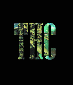 sequoyyy:THC