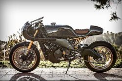 caferacerpasion:  🏁 caferacerpasion.com 🏁 Aprilia RSV 1000