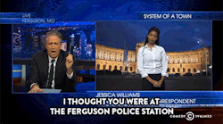 s1uts:comedycentral:Daily Show Senior Ferguson Correspondent