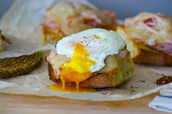 yummyinmytumbly:  Fancy Ham and Cheese