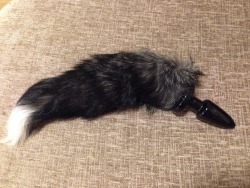 megandmrbig:  My new tail! I can’t wait to wear it for Big.