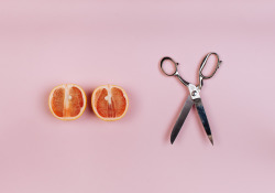 matthewbrooksphotography:  ‘cutting fruit’ dad jokes series