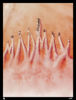 thepostermovement: Mad Max Fury Road by Andy Fairhurst 