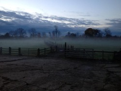 poo-sex:  horsemurica:  Creepy view of the fields one chilly