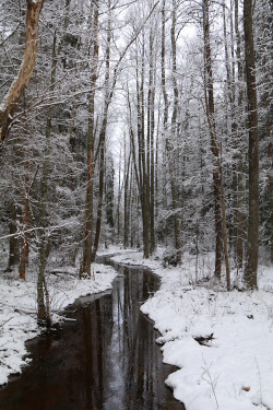 michaelnordeman: Värmland, Sweden.