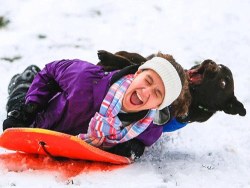 Sledding fun with Fido