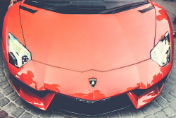 Aventador photographed by Frames/second