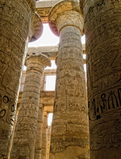 grandegyptianmuseum:The Great Hypostyle Hall in the Precinct