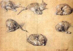 centuriespast:  Thomas GAINSBOROUGH, Six studies of a cat, 1765-70