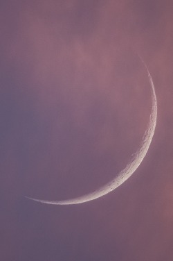 0ce4n-g0d:  This morning's Moon...from Italy... by Gabriella