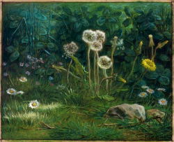 summerlilac:  Dandelions, 1867-1868, Jean-François Millet