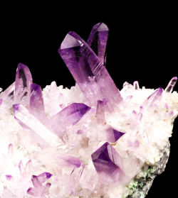 fuckyeahmineralogy:  Quartz var. Amethyst; Piedra Parada, Veracruz,