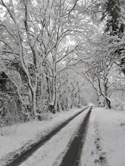 vwcampervan-aldridge:Tracks through Snowdrifts, Hobs Hole Lane,