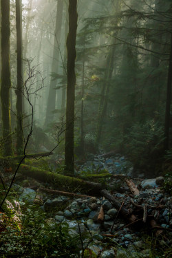 lori-rocks:  Misty Creek, by Kim Foster 
