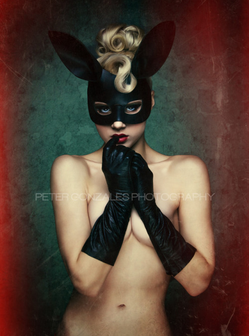 officiallymosh:“Black Bunny 2” by Peter Gonzales