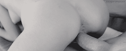 impregnationheaven:  Impregnation only 