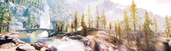 ladym0rrigan:   ♚  