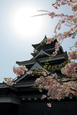 yuikki:  Kumamoto-jō l dozodomo 