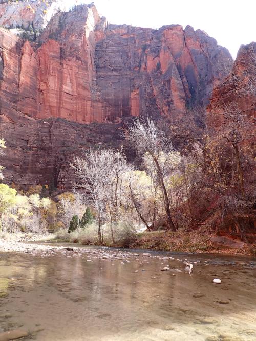 oneshotolive:  Zion National Park [OC][3000 x4000] 📷: ultraJJR