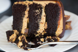 sweetoothgirl:    Peanut Butter Cup Overload Cake    