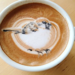 itscolossal:  Feathered Latte Art Features Stylized Portraits