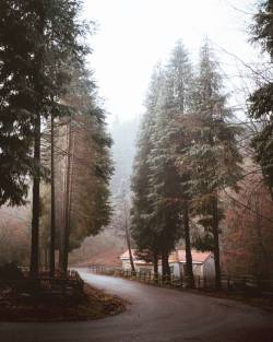 leireunzuetaphoto: One of those rainy mornings in the forest