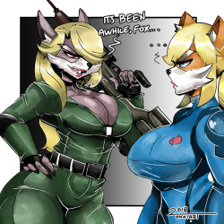 wolf, sniper wolf and zero suit fox. i’ve been focusing too