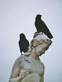 requiem-on-water:Statue in Louvre Palace Gardens. 