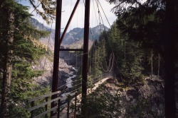 apassingbreeze:  tahoma creek suspension bridge, washington olympus