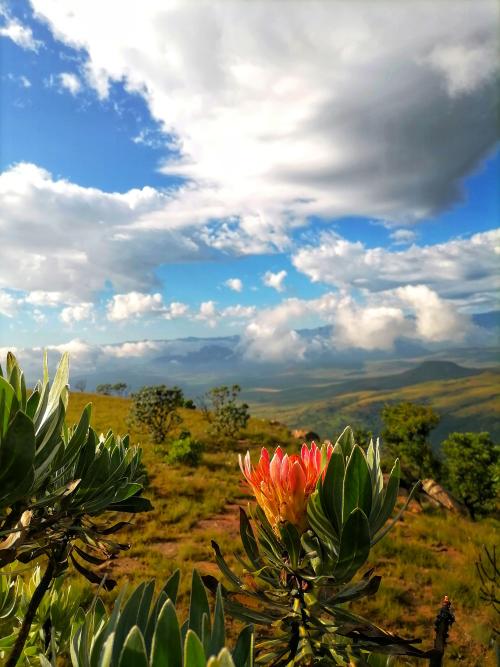 oneshotolive:  Sterkfontein Dam Nature Reserve, Drakensberg Range