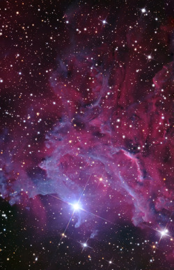 ohstarstuff:  Flaming Star NebulaThis is the magnificent IC 405