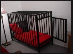 ammachete:  My wife’s cage is next to my parents bed whenever